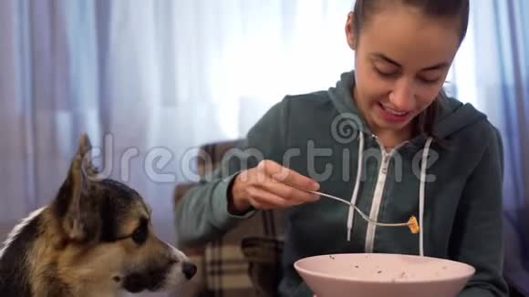 美丽开朗的年轻女人用盘子喂狗视频的预览图