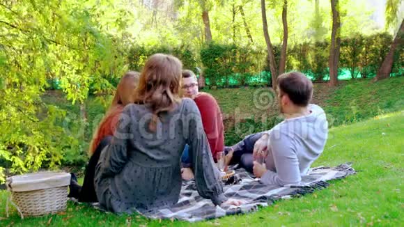 四个朋友在公园野餐时聊天视频的预览图