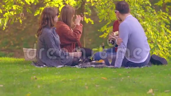 年轻的朋友在秋天的野餐中庆祝视频的预览图