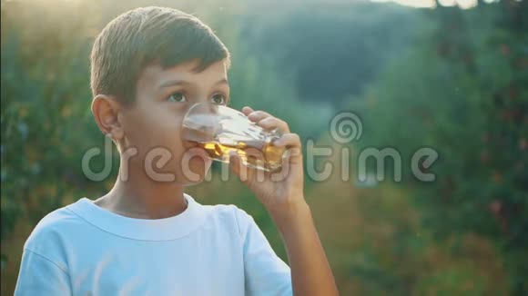 小男孩喝了一杯苹果汁在模糊的花园背景下欣赏它复制空间侧视快关门4K视频的预览图