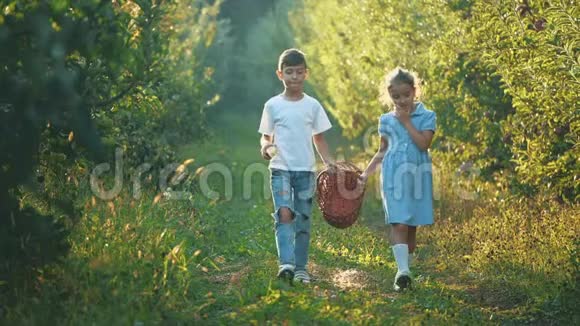 小女孩和她哥哥带着篮子沿着美丽的自然男孩在吃红苹果慢点慢动作副本视频的预览图