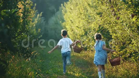 小女孩和她的哥哥手里拿着篮子沿着美丽的大自然奔跑后景复制空间4K视频的预览图