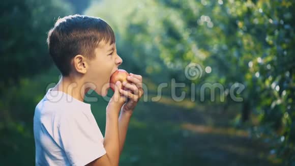 穿白色T恤的小男孩在户外咬一个红苹果男孩笑容满面快关门复制空间4K视频的预览图