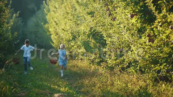 小女孩和她的哥哥手里拿着篮子沿着美丽的大自然奔跑复制空间4K视频的预览图