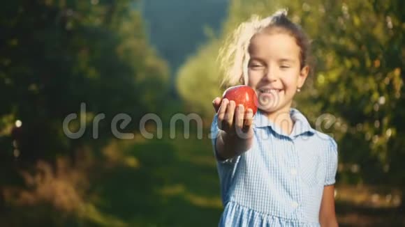 小女孩在户外提供一个红苹果快关门复制空间4K视频的预览图