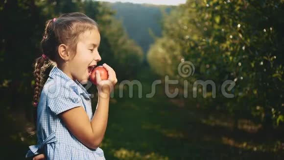 饥饿的女孩在户外咬一个红苹果女孩笑容满面快关门侧视复制空间4K视频的预览图