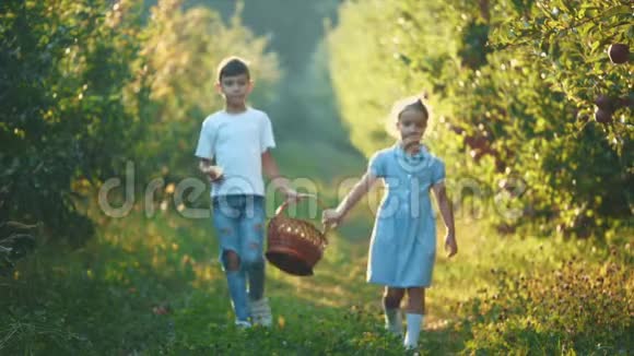 小女孩和她哥哥带着篮子沿着美丽的自然复制空间4K视频的预览图