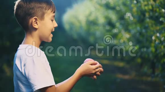 穿白色T恤的小男孩在户外咬一个红苹果男孩笑容满面快关门复制空间4K视频的预览图