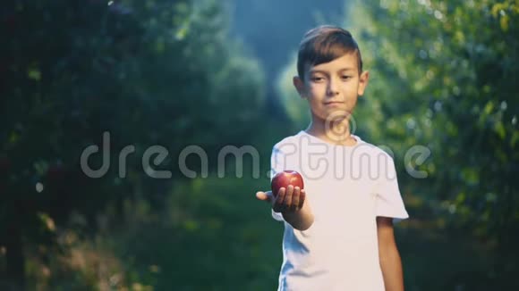 小男孩在户外提供一个红苹果男孩笑容满面快关门复制空间4K视频的预览图