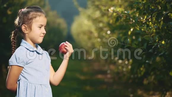 小女孩在户外提供一个红苹果女孩笑容满面快关门复制空间4K视频的预览图
