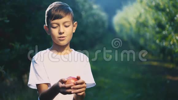 小男孩在户外提供一个红苹果他在做手势复制空间4K视频的预览图