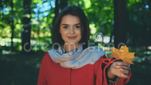 漂亮的年轻女孩穿着红色外套脖子上戴着轻轻的围巾给我们看了一片秋叶与世隔绝模糊的视频的预览图