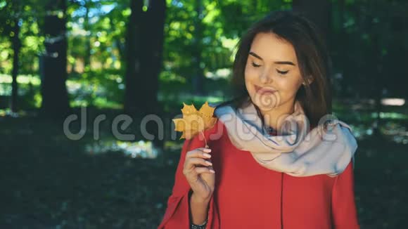 戴着红色外套脖子上戴着一条轻轻的粉红色围巾的漂亮女孩正看着公园模糊的秋叶视频的预览图