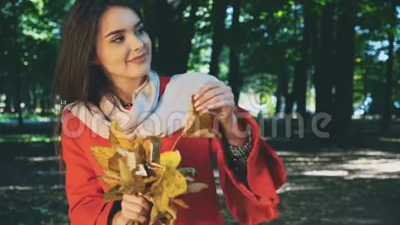 可爱的女孩拿着一束秋叶把它们摘出来背景模糊快关门复制空间4K视频的预览图