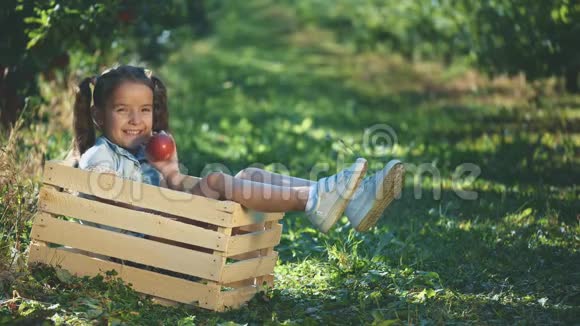 穿蓝色T恤的小女孩在户外展示一个红色的苹果女孩坐在木箱里复制空间4K视频的预览图