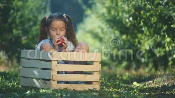 穿蓝色T恤的小女孩在户外咬一个红苹果女孩坐在木箱里复制空间4K视频的预览图