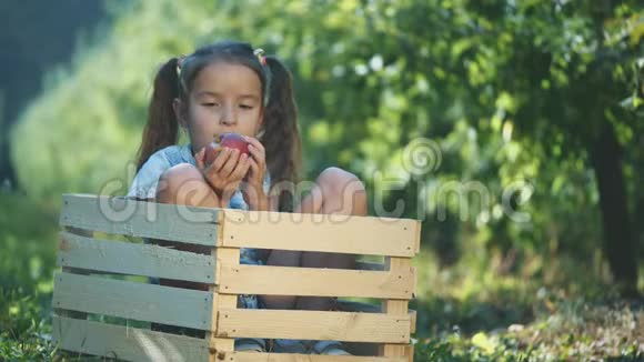 穿蓝色T恤的小女孩在户外咬一个红苹果女孩坐在木箱里复制空间4K视频的预览图