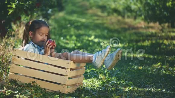 穿蓝色T恤的小女孩在户外吃一个红苹果女孩坐在木箱里复制空间4K视频的预览图
