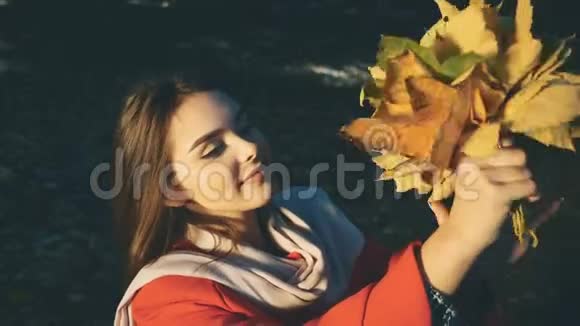 可爱的女孩拿着一束秋叶看着它背景模糊快关门复制空间4K视频的预览图