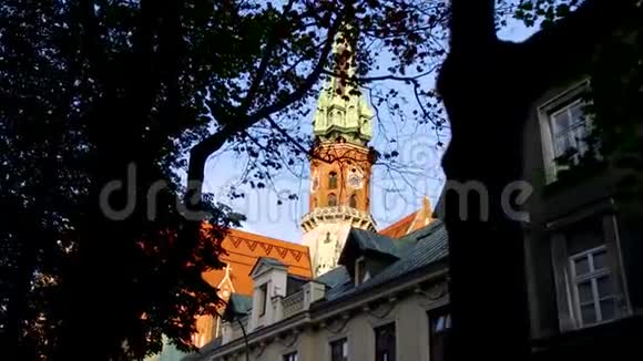 大教堂塔从树后面视频的预览图