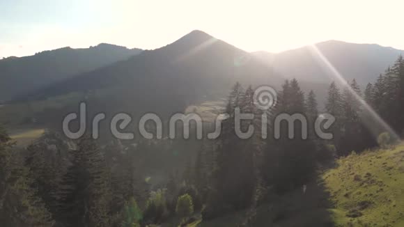 夏季喀尔巴阡山脉视频的预览图