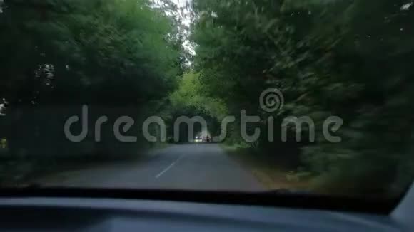 道自然树隧道视频的预览图