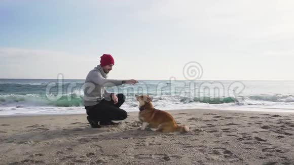 男性与科吉狗视频的预览图