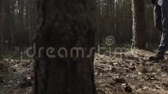 美丽的新娘穿过树林视频的预览图