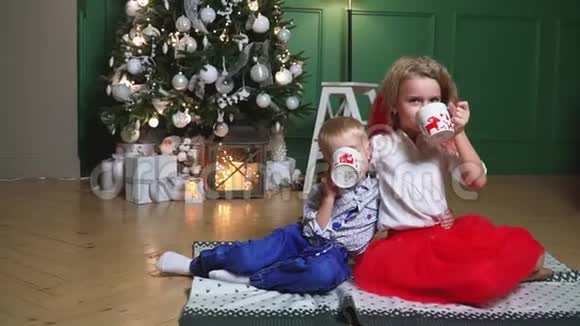 一个美丽的男孩和女孩在一棵装饰着的圣诞树的背景上挂着灯视频的预览图