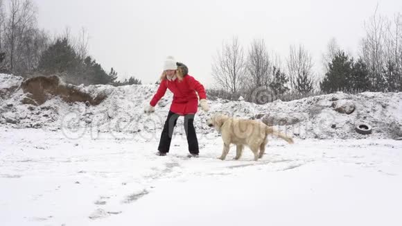 美丽的慢动作视频女人在冬天和她的狗在冰场上玩视频的预览图
