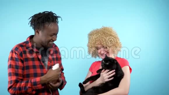 一对非洲男性和一个高加索女人在一起抱着一只黑猫和一只白老鼠蓝色背景视频的预览图