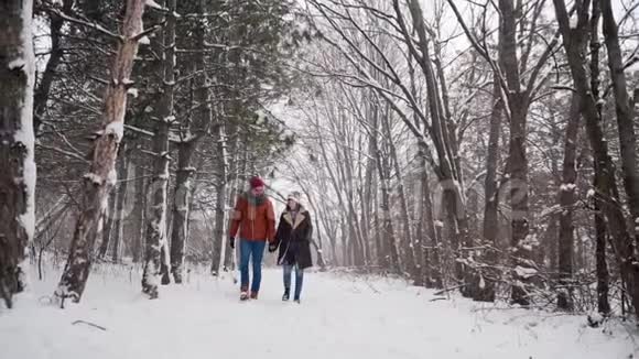 年轻可爱的一对夫妇在下雪的公园里散步冬天男人牵着他女朋友手女人在雪地里漫步视频的预览图