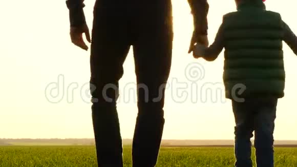 日落时分幸福家庭的剪影父亲牵着儿子手穿过一片绿色的草地旅行和视频的预览图