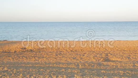 沙滩海滨和黎明时的碧海视频的预览图