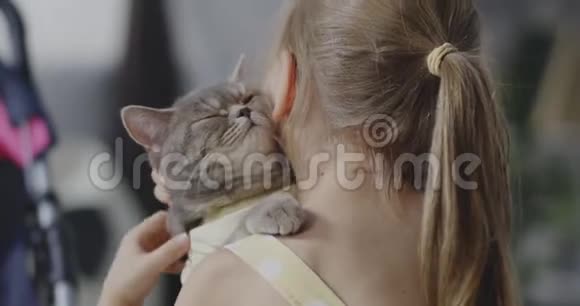女孩抱着猫接吻视频的预览图