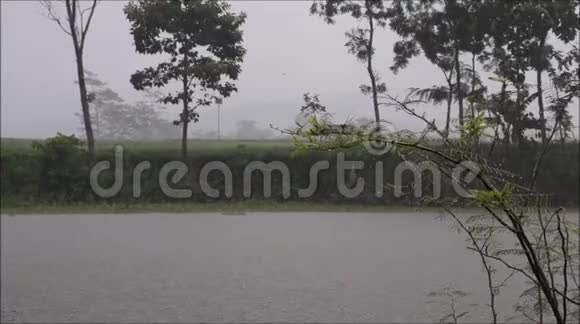 淡水湖暴雨视频的预览图