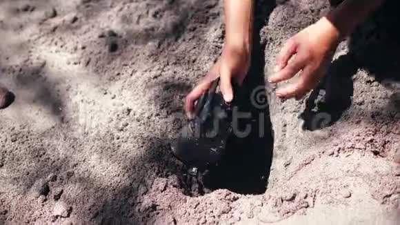 一个年轻的女人她的手把单反相机埋在沙子里视频的预览图