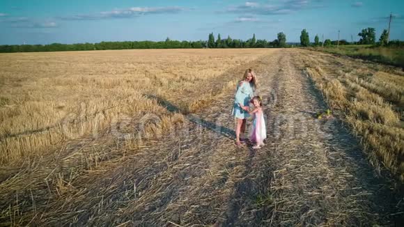 在干燥的田野里游戏大型干草场视频的预览图