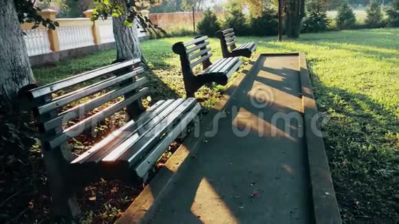 早上坐在公园里的木凳视频的预览图