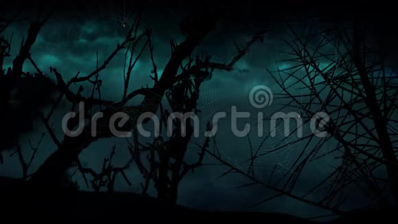 蝙蝠月亮树风暴4K循环视频的预览图