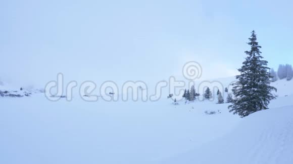 冬天的童话雪景视频的预览图