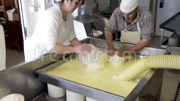 在奶酪工厂里在用新鲜牛奶做奶酪时视频的预览图