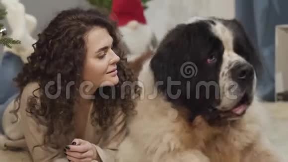 漂亮女人在室内玩她的大狗的特写镜头女孩拿着新年角固定着她长长的卷发视频的预览图