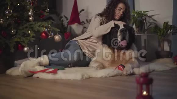 穿着休闲服装的白种人女孩抚摸着大狗把头放在宠物的背上快乐的女人新花钱视频的预览图