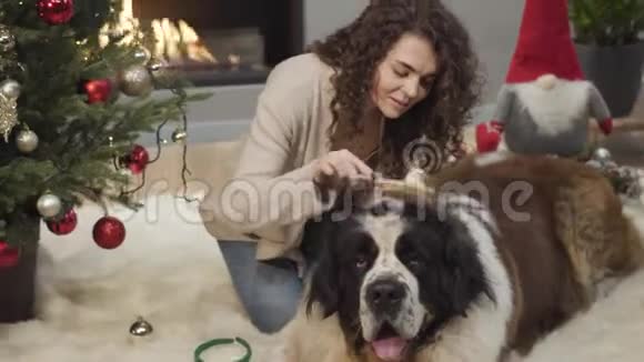开朗的白种人女人梳理她的宠物吹在他的头上戴上新年鹿角快乐的女孩视频的预览图
