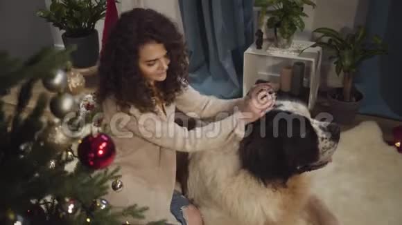 幸福的黑发女人的特写肖像抚摸着她的宠物的头微笑着积极的白人女孩和大莫斯科视频的预览图