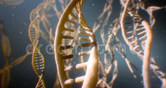 DNA紊乱斯特兰德科学化学和医学概念8k4kUHD视频的预览图