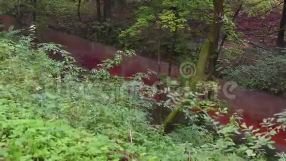峡谷森林中的红砖墙视频的预览图