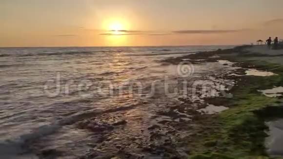 加勒比海和海滩日落视频的预览图