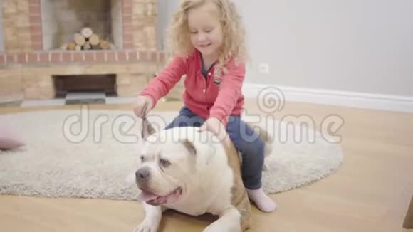 迷人的金发白种人女孩抱着斗牛犬耳朵和笑声小孩子在家里和她的宠物玩病人视频的预览图